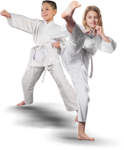 Karate PNG-55529